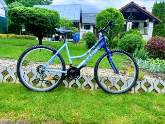 Bicykel Engine - 11