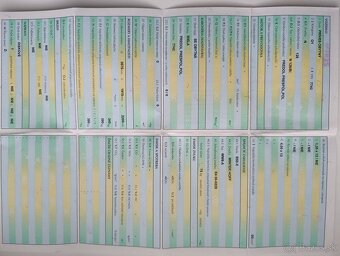 Niewiadow N126 B - 11