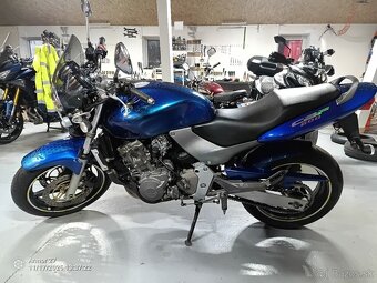 Honda Hornet 600 - 11