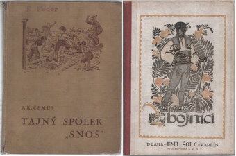 Staršie knihy pre deti a mládež - 11