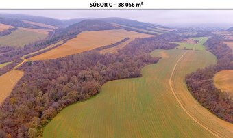 Rokycany – 233.000 m2 LESNÉ POZEMKY v podiele 1/1 - 11