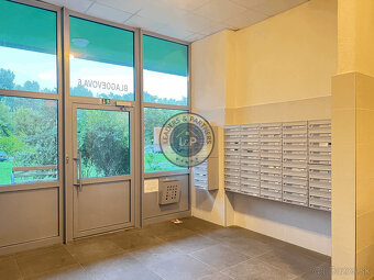 Dvojgarsónka s balkónmi na predaj | BLAGOEVOVA, BA V - 11