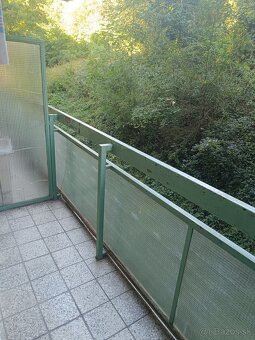 Garzónka na prenajom v Trencianskych Tepliciach - 11