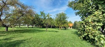 4izb dom pri Nitre s veľkým pozemkom - 11