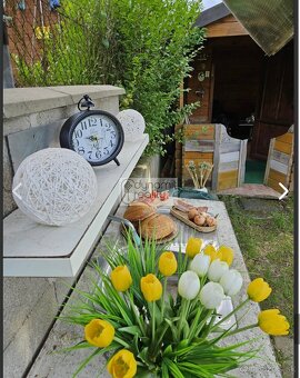 Záhrada na RELAX – 457 m2 – Handlová - 11