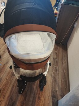 Kočík Coletto florino - 11