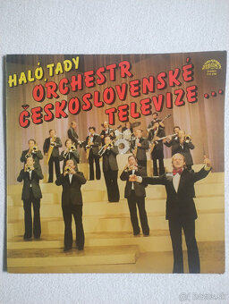 LP a singel vinylové platne - rôzne - 11