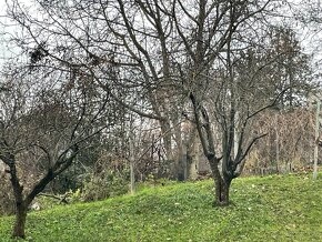 4 IZBOVY BYT ZARIADENY, GARAZ, PIVNICA,ZAHRADA - 11