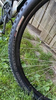 SPECIALIZED Rockhopper 29 Kola , Rám L19 - 11