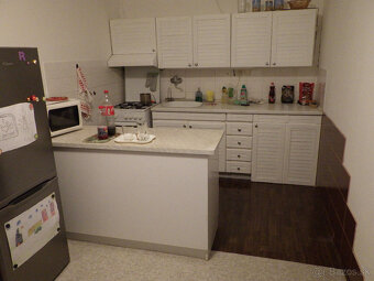 3-izbový byt pražského typu - 11