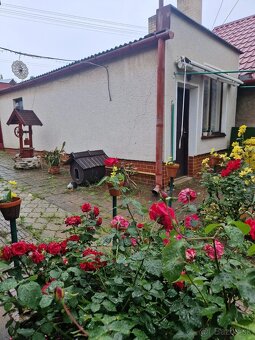 Na predaj 4 izb. rodinný dom vo Veľkom Záluží - 11