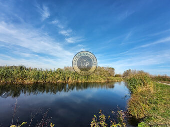 Predaj 3i RD a pozemok,garáž, Komárno,2205m2 - 11