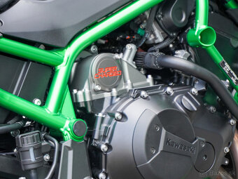 Kawasaki ZH2 SE - 11