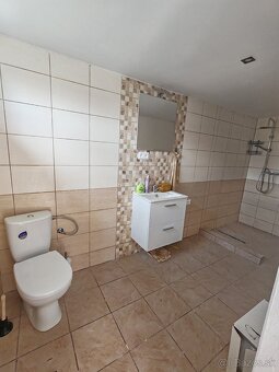 Tovarníky - chatka v záhradkárskej osade - 11