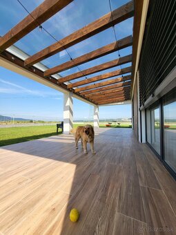 Stavebné práce - 11