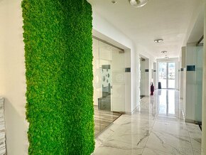 Na prenájom zariadené kancelárske priestory, Stará Ľubovňa - 11