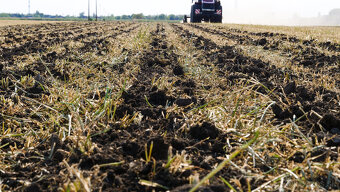 Medziriadkový kultivátor/ Strip till - 11