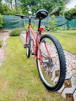 Bicykel Vector-Cobra - 11