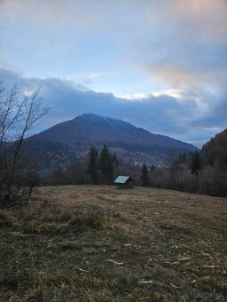 Frézovanie kríkov - 11