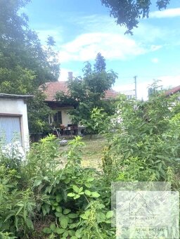 Rodinný dom v obci Mojmírovce na predaj - 11