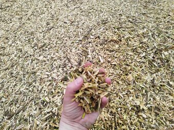 ♻️ Prenajmem drvič /štiepkovač/ konárov do 16cm. ♻️ - 11