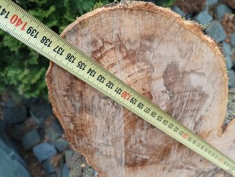 Suché koláče z Habra a Buka - 11