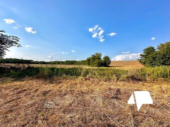 Predaj, stavebného pozemku pre RD alebo chatku, Levice - Kal - 11