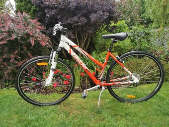 Crossovy bicykel Asper - 11