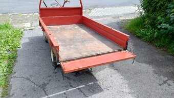 Japonský damprík - 11