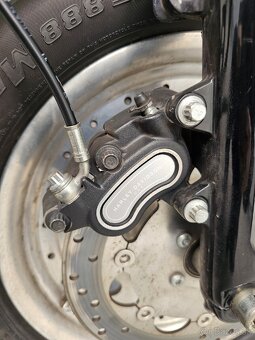 HD FXDF Dyna Fat Bob - 11