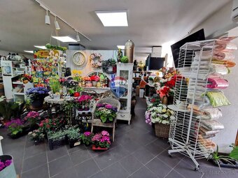 Záhradné centrum na  prenájom, 1800m2, Snina - 11