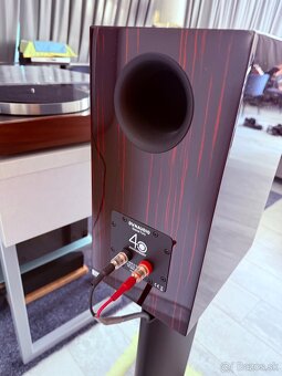 Dynaudio special 40 - 11
