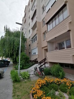 1izb byt so zariadením a lodžiou na ulici Jilemnického - 11
