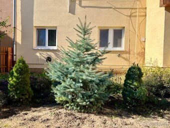 3 izbový byt s vlastným parkovacím miestom - 11