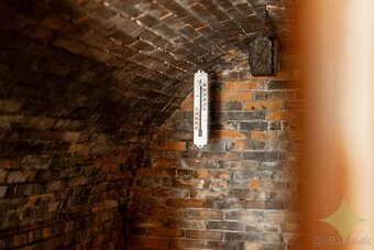 Viničný dom s ovocným sadom "Danka" - 11