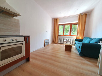 >>>>2-izbový tichý byt - 200m od OC NIVY - BLÍZKO CENTRA - 11