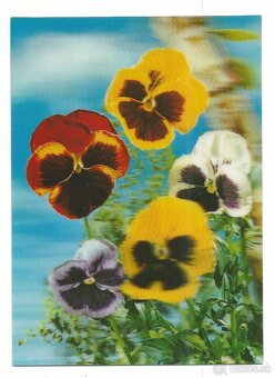 3D pohľadnice (1-20 ), čisté v top stave, 1 ks za 1 € - 11