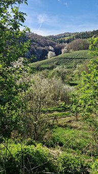 Rodinny dom Kralova Zvolen - 11