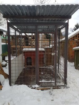 Koterec pre psa - 11