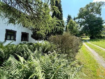 CHALUPA NA POLOSAMOTE pri LESE, KRAJNÉ, okr. MYJAVA - 11