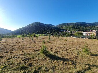 Mulčovanie, kosenie , čistenie pozemkov, štiepkovanie - 11