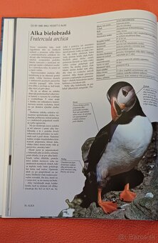 Morský breh-prírodovedná publikácia,Larousse,100% stav% - 11