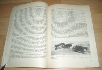 Práce psa při lovu - 11