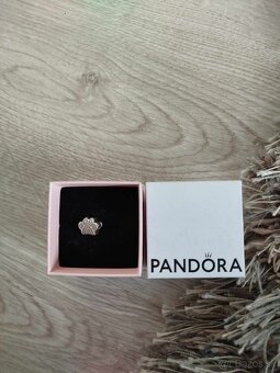 Pandora - 11
