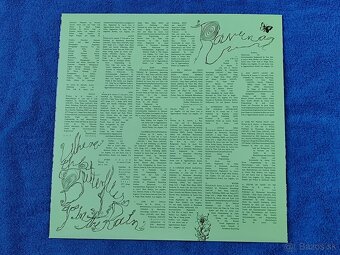 Raveena - Where the butterflies go in the rain (platňa,Vinyl - 11