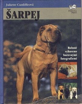 Mačky, psy, zvieratá, chov - 11