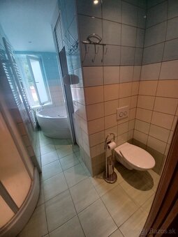 1 izbový byt Trenč.Teplice - Hurbanova, 42 m2 - 11