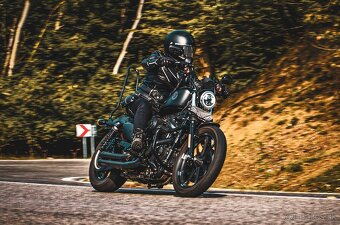Harley Davidson Sportster Iron 883 , VP A2 - 11