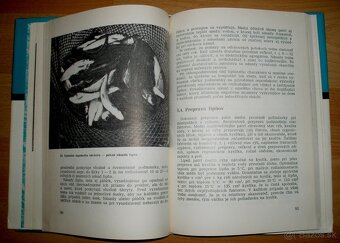 Lipeň - 11
