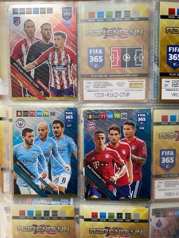 Panini 2019 Fifa 365 Binder - 11